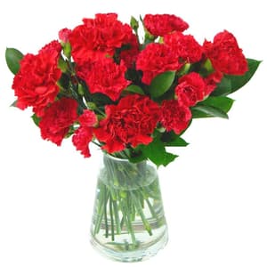 20 Red Carnations in a Glass Vase